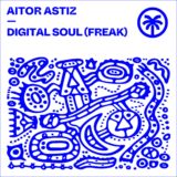Aitor Astiz – Digital Soul (Freak) on Hottrax