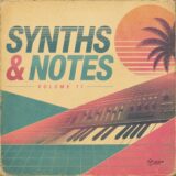 VA – Synths & Notes Vol. 11 on Voltaire Music