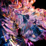Ary Sya, Victor Flash – Motion EP on Siamese
