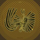 ASC – Antiquated Thoughts EP on Arts