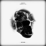 Canoto – Marble Veil on Port Zero