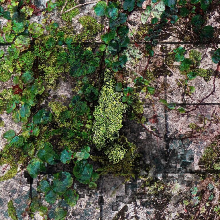 Chapelier Fou, CCTemple – Inner Explorations on I.O.T Records Label