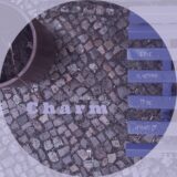 Charm – Love Is Nothing to Be Afraid Of on Flaneurecordings