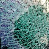 Danicc – Entropy on LPZ Records