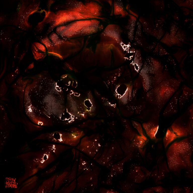Dayzero – Step Inna EP on Nerve Collect
