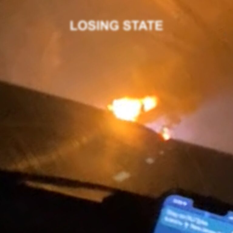 Deli Girls, PUSHPIN, Elvin Brandhi – Losing State on Industrial Strength Records