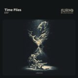 DSF – Time Flies on Unusual Radio Music