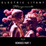 Electric Litany – Reciprocate – Remixes Part 1 on Flying Hearts