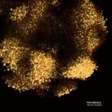 Facu Nicolia – Vicios Suaves on Xelima Records