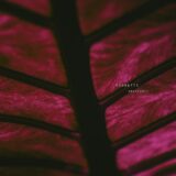 Fioretti – Orizzonti on Cadenza