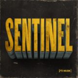 Gerwin Van Engelenburg, David Duriez – Sentinel on RZ Muzik