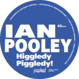 Ian Pooley – Higgledy Piggledy! on Pooled Music