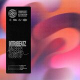 Intr0beatz – It’s Been Good – EP on SlothBoogie
