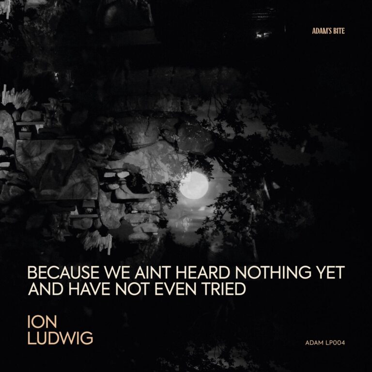 Ion Ludwig – Because We Ain’t Heard Nothing yet and Have Not Even Tried on Adam’s Bite