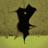 Jungstötter, Ronja – Sustained on Unguarded