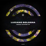 Luciano Bologna – Among the Skies on WARPP