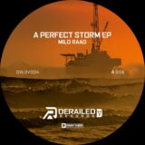 Milo Raad – A Perfect Storm EP on Planet Rhythm
