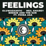 VA – Feelings on My Other Side of the Moon