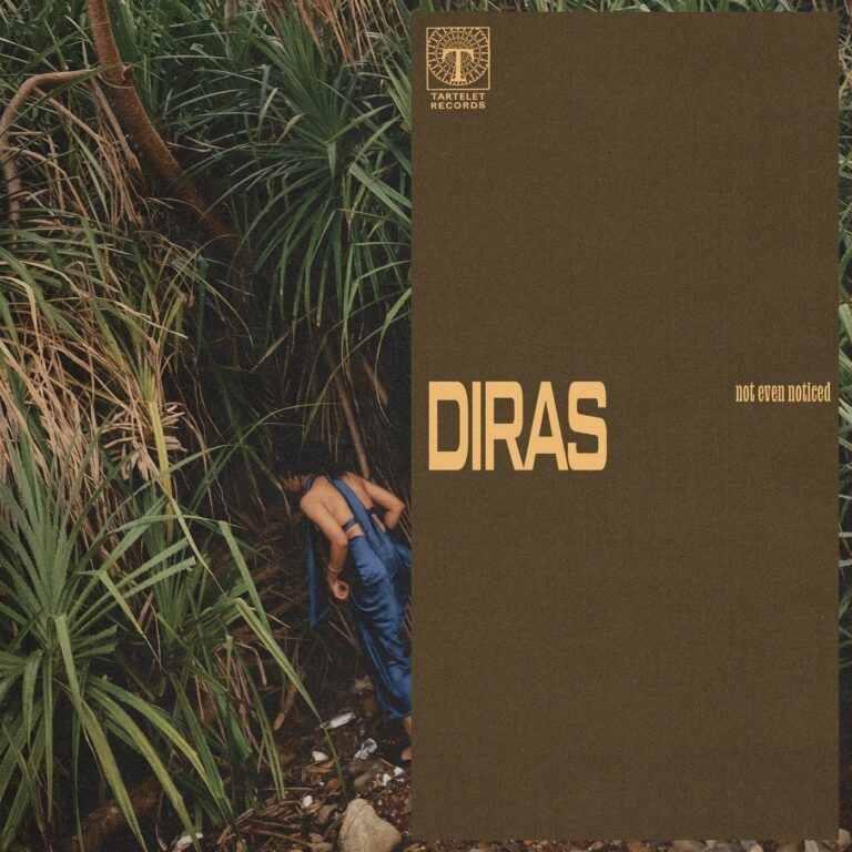 not even noticed – diras on Tartelet Records