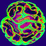 pdqb – Suoivex hddnflg on Synaptic Cliffs