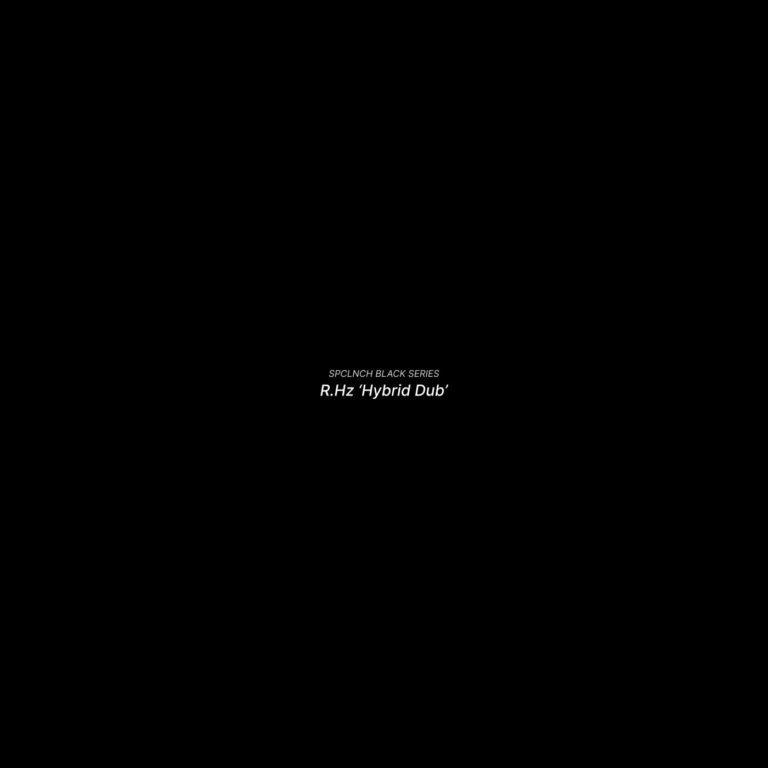 R.Hz – Hybrid Dub on spclnch