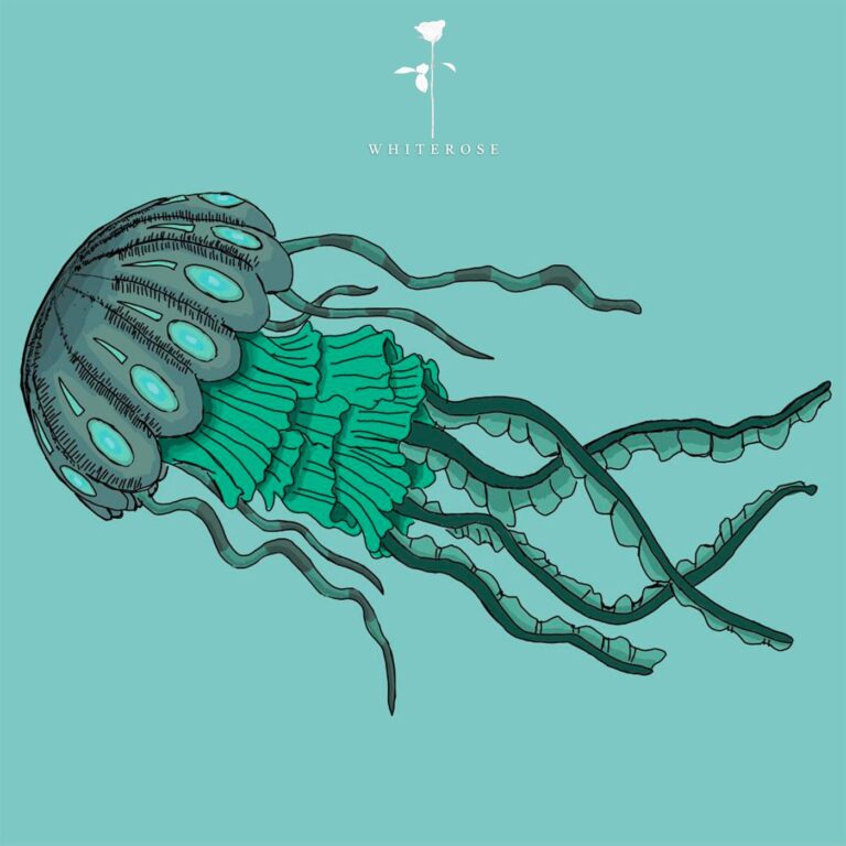 Second Nature – Basement Glow on White Rose Recordings