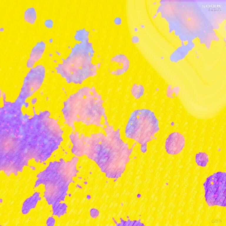 soo:k – Briko on Early Reflex