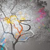 VA – 5 Years on Fur:ther Sessions