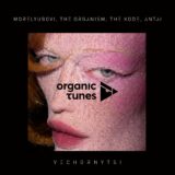 VA – Vechornytsi on Organic Tunes