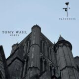 Tomy Wahl – Tomy Wahl Haras Chart
