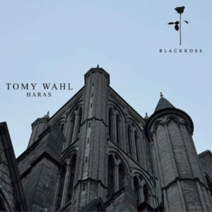 Curator: Tomy Wahl