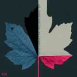 Toto Chiavetta – Transcending CTNIA on Borders Of Light