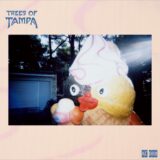 Trees of Tampa – Supertears on Acid Canyon