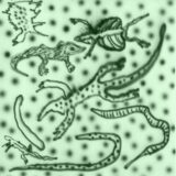 Vesu’s, Kristo’s, Georg Marander – List Of Lizards IV on Moodmusic