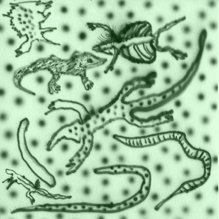 Vesu’s, Kristo’s, Georg Marander – List Of Lizards IV on Moodmusic