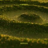 Yør Kultura – Skogvies on Permanent Vacation