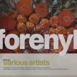 VA – Various Artists 2026 on Forenyl