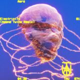 Aera – Electricity Remix EP on TAU