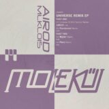AIROD – Universe (Remixes) on Molekül