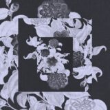 Aki Himanen, Fabio Giachino, Echoes Of Synchrome – Echoes of Synchrome on Jazz-O-Tech