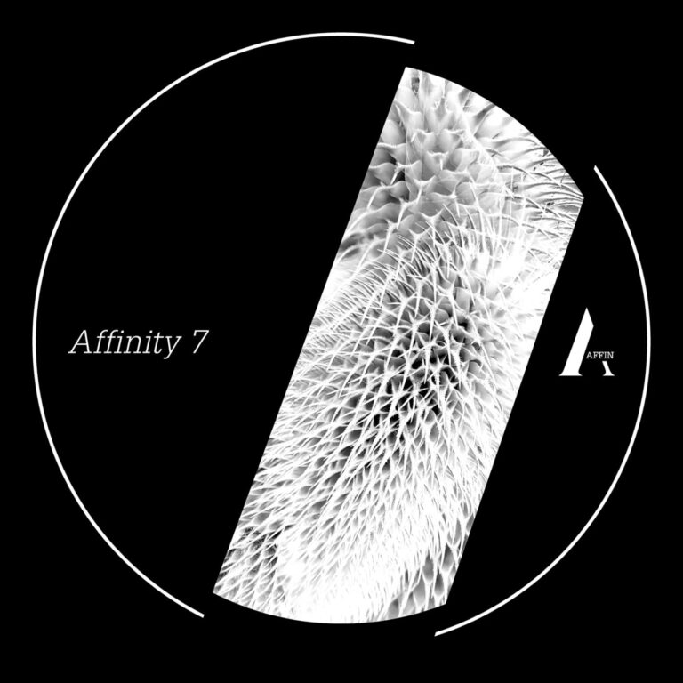 Arsène Martinet & Michal Basar, Nils Edte, Javier Marimon – Affinity 7 on Affin
