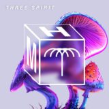 Bonafique – Three Spirit on Maccabi House