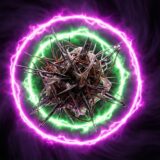 Chain Selector – Dub Vibration on Superordinate Dub Waves