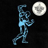 VA – Next Wave Acid Punx TROIS – Chapter 1 on Eskimo Recordings