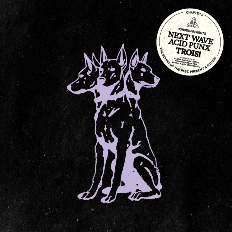 VA – Next Wave Acid Punx TROIS – Chapter 3 on Eskimo Recordings