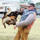 Hadone – Bite the Hand That Feeds You on Primal Instinct