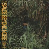 not even noticed – space beyond noise on Tartelet Records