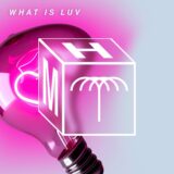Rafael, Mita Gami – What Is Luv (Extended Mix) on Maccabi House