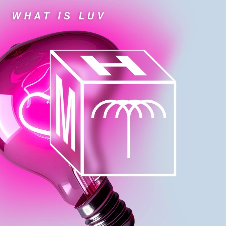 Rafael, Mita Gami – What Is Luv (Extended Mix) on Maccabi House