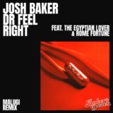 VA – Dr Feel Right (feat. The Egyptian Lover & Rome Fortune) (Malugi Remix) on Baker’s Dozen